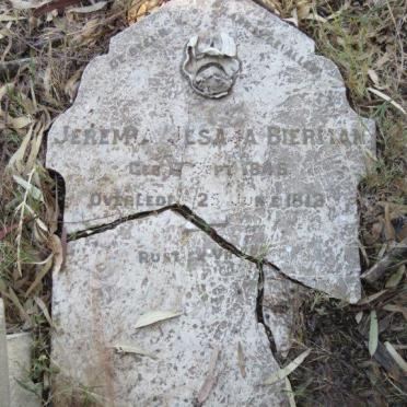 BIERMAN Jeremia Jesaja 1846-1912