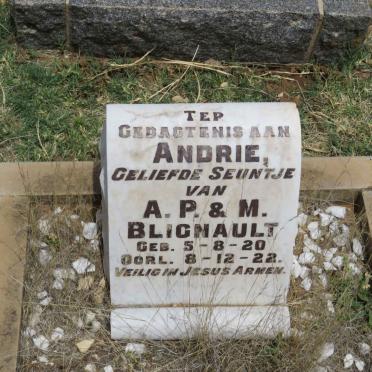 BLIGNAULT Andrie 1920-1922