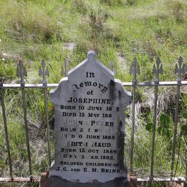 BRINK Josephine 1882-1883 :: BRINK John 1883-1883 :: BRINK Peter 1883-1883 :: BRINK Edith Maud 1884-1885