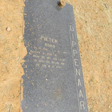 DIPPENAAR Pieter 1930-1984