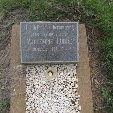 LUBBE Willempie 1910-1916