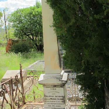 OLIVIER Philippus Jacobus van der Merwe -1909