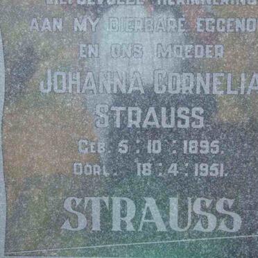 STRAUSS Johanna Cornelia nee VILJOEN 1895-1951