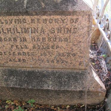 SHINE Wilhilimina -1880