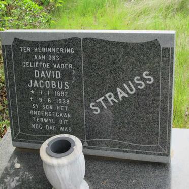 STRAUSS David Jacobus 1892-1938
