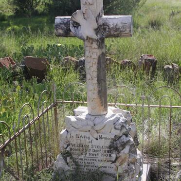 STELLING William 1887-1909