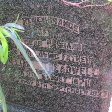 TREADWELL William 1870-1937