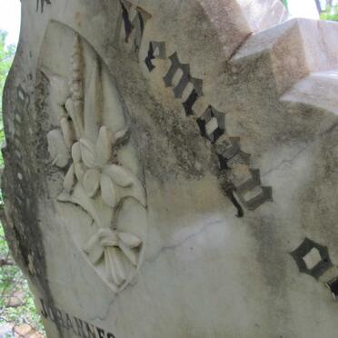 ? Johannes Christi?