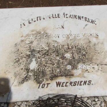 MOOLMAN C.L. 1859-1935