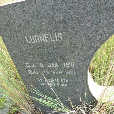 ? Cornelis 1910-1981 &amp; Christina Johanna LUBBE 1916-1965