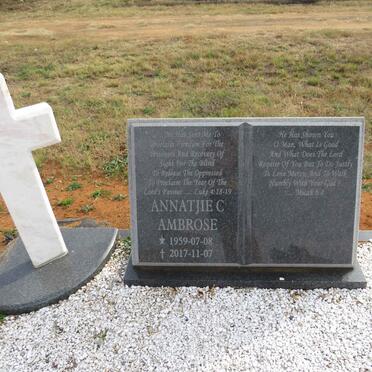 A - Surnames :: Vanne - A