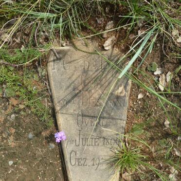 BEER P.G., de 1881-1899