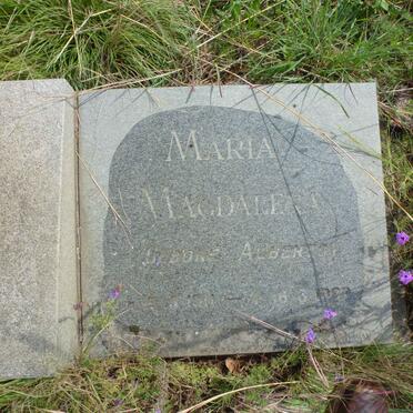 LINDE Nicolaas Pieter 1910-2001 &amp; Maria Magdalena ALBERTS 1911-198?