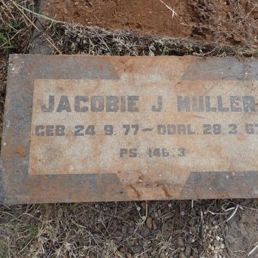 MULLER Jacobie J. 1877-1967