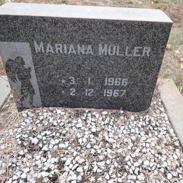MULLER Mariana 1966-1967