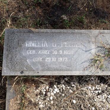 PELSER Cornelia C. nee KRIEL 1898-1973