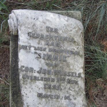 WESSELS Sinnie -1899