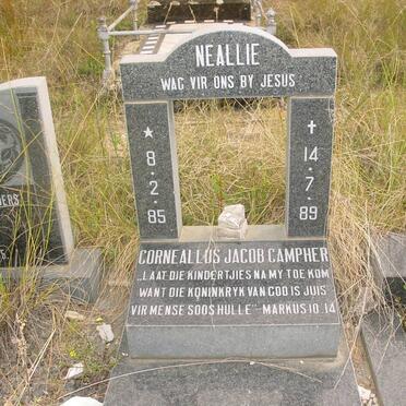 CAMPHER Corneallus Jacob 1985-1989