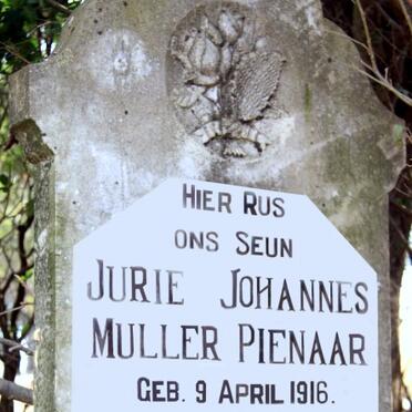 PIENAAR Jurie Johannes Muller 1916-1941 