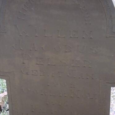 PELSER Willem Jacobus 1902-1916