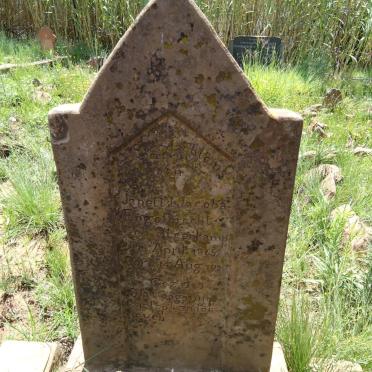 ENGELBRECHT Janetta Jacoba nee STEENKAMP 1865-1928