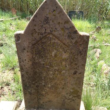 ENGELBRECHT Janetta Jacoba nee STEENKAMP 1865-1928