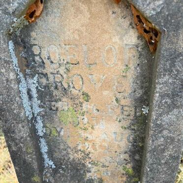GROVE Roelof 1931-1931