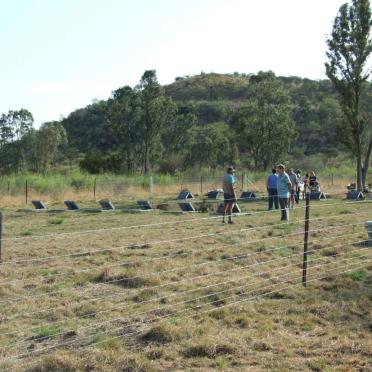 2. Overview