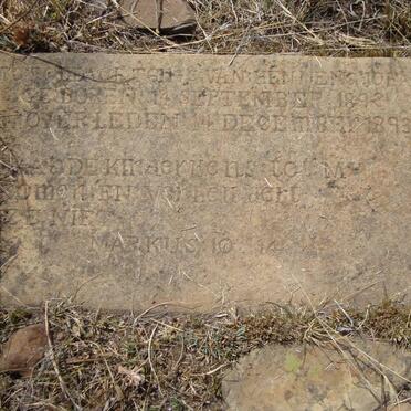 MERWE Hennerik Johannes, van der 1892-1893