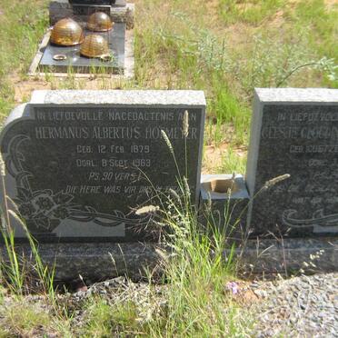 HOFMEYER Hermanus Albertus 1879-1963 &amp; Geesje Gloudina COETZEE 1876-1966