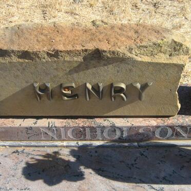 NICHOLSON Henry Arthur 1954-1999