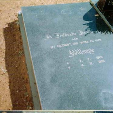 ? Willempie 1929-1988