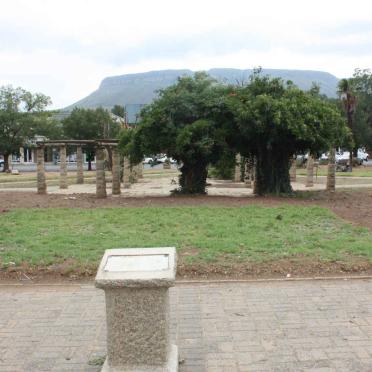 7. Overview