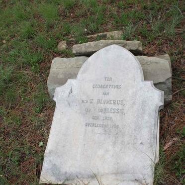 BLOMERUS Z. nee DU PLESSIS 18?6-1895