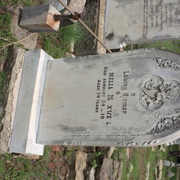 MAXWELL Amelia -1901