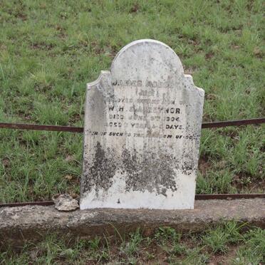 REYNOR James Robert -1904