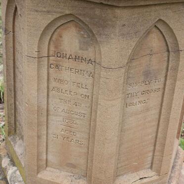 STEAD Johanna Catherina -1880