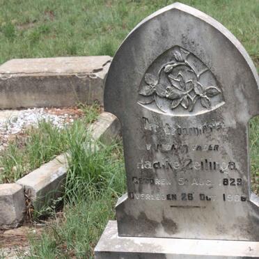 ZEILINGA Haaike 1829-1906