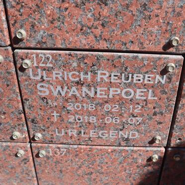 SWANEPOEL Ulrich Reuben 2018-2018