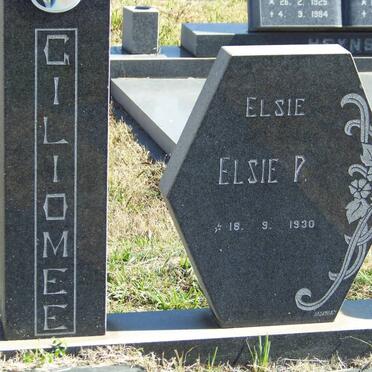 GILIOMEE Mattheus L.F. 1921-1984 &amp; Elsie P. 1930- _1