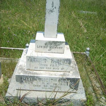 HAMILTON Catherine nee HAIR -1910