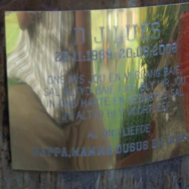 LUES D.J. 1989-2008