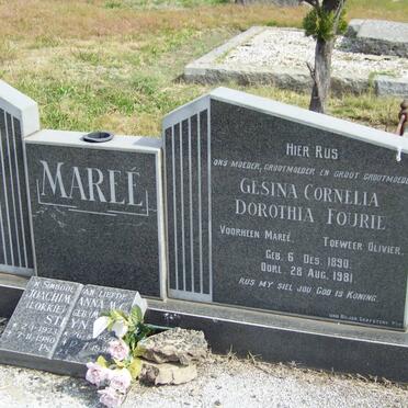 MAREE :: FOURIE :: STEYN :: OLIVIER