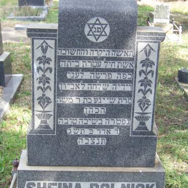 ROLNICK Sheina
