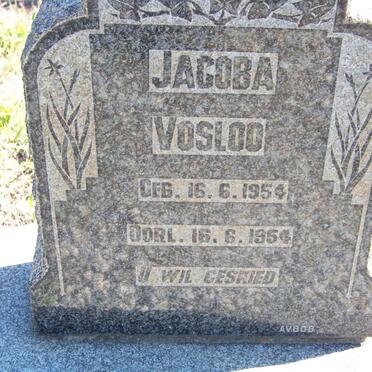 VOSLOO Jacoba 1954-1954