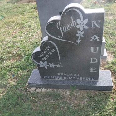 N - Vanne :: Surnames - N