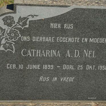 NEL Catharina A.D. 1899-1952
