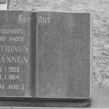 VENTER Marthinus Johannes 1905-1964