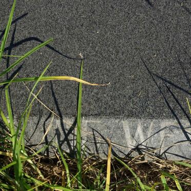 WET Helena Maria, de 1922-1990