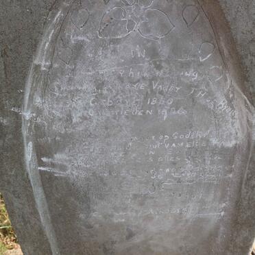 BRUIN J.H., de 1860-19??